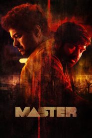 Master (2021) Dual Audio [Hindi ORG & Tamil] WEB-DL 480p, 720p & 1080p Download