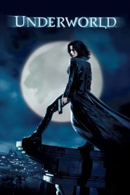 Underworld (2003) BluRay 1080p & 720p Dual Audio (Hindi + English) Download