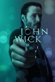 John Wick (2014) BluRay Dual Audio (Hindi + English) 1080p & 720p Download