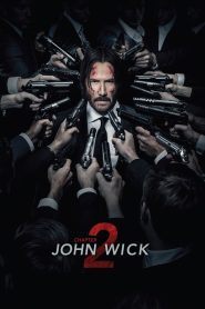 John Wick: Chapter 2 (2017) BluRay Dual Audio ( Hindi + English) 1080p & 720p Download