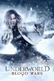 Underworld: Blood Wars (2016) BluRay Dual Audio (Hindi + English) 1080p & 720p Download