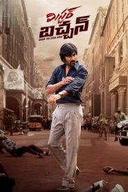 Mr. Bachchan (2024) Telugu WEB-DL 1080p & 720p GDrive Download