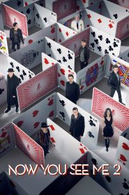 Now You See Me 2 (2016) BluRay Extended Dual Audio (Hindi + English) GDrive 1080p & 720p Download