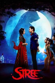 Stree (2018) WEB-DL Hindi 1080p & 720p GDrive Download