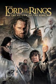 The Lord of the Rings: The Return of the King (2003) BluRay NF Extended Dual Audio (Hindi + English) 1080p & 720p Download