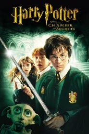 Harry Potter and the Chamber of Secrets (2002) BluRay Extended Dual Audio (Hindi + English) 1080p & 720p