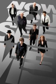 Now You See Me (2013) BluRay Extended Dual Audio (Hindi + English) 1080p & 720p GDrive Download