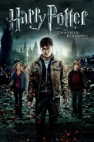 Harry Potter and the Deathly Hallows: Part 2 (2011) BluRay (Hindi + English) 1080p & 720p