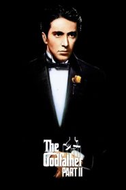 The Godfather Part II (1974) Dual Audio (Hindi + English) BluRay 1080p & 720p GDrive Download