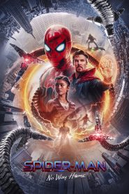 Spider-Man: No Way Home (2021) IMAX BluRay Dual Audio (English + Hindi) 720p, 1080p & 4K Download