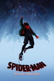 Spider-Man: Into the Spider-Verse (2018) BluRay Dual Audio (English + Hindi) 720p, 1080p & 4K Download