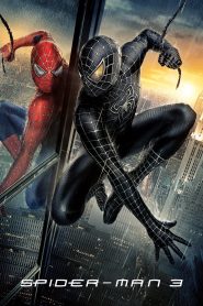 Spider-Man 3 (2007) BluRay Dual Audio (English + Hindi) 720p & 1080p Download