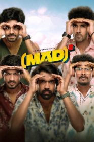 Mad Square (2025) Dual Audio (Hindi + Telugu) WEB-DL 720p & 1080p GDrive Download