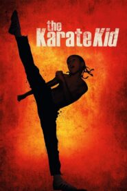 The Karate Kid (2010) Dual Audio (Hindi + English) BluRay 720p & 1080p Download