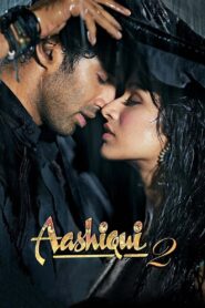 Aashiqui 2 (2013) Hindi WEB-DL &20p & 1080p Download