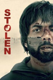 Stolen (2025) Hindi WEB-DL 720p & 1080p Download