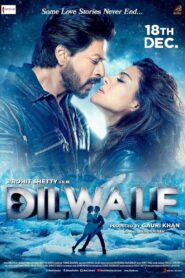 Dilwale (2015) Bollywood Hindi Movie BluRay 720p & 1080p Download
