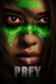 Prey (2022) Dual Audio (Hindi + English) Hollywood Movie BluRay 720p & 1080p Download