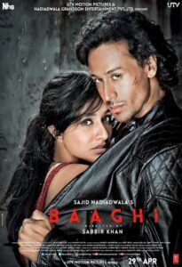 Baaghi (2016) Hindi BluRay 720p & 1080p Downlaod