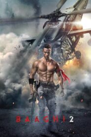 Baaghi 2 (2018) Hindi BluRay 720p & 1080p Downlaod