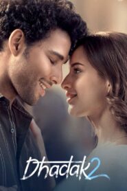 Dhadak 2 (2025) Bollywood Hindi Movie 720p & 1080p Download
