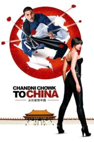 Chandni Chowk to China (2009) Bollywood Hindi Movie 720p & 1080p Download