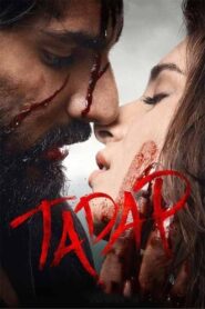 Tadap (2021) Bollywood Hindi Movie 720p & 1080p Download