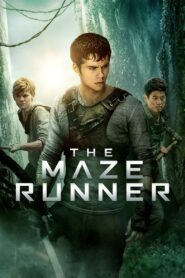 The Maze Runner (2014) Dual Audio (Hindi + English) 720p & 1080p Download