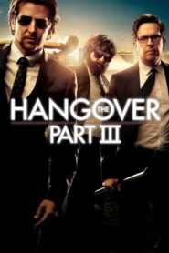 The Hangover Part III Dual Audio 720p Download