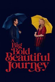 A Big Bold Beautiful Journey (2025) Dual Audio (Hindi + English) Hollywood Movie BluRay 720p & 1080p Download