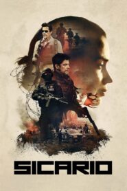 Sicario (2015) Dual Audio (Hindi + English) Hollywood Movie